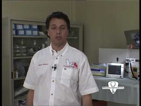 SVENIMENTO - COLPO DI CALORE - pronto soccorso first aid-  come fare