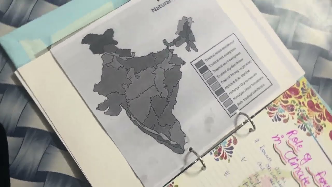 Interdisciplinary project forest colonialism and natural vegetation class 9 project