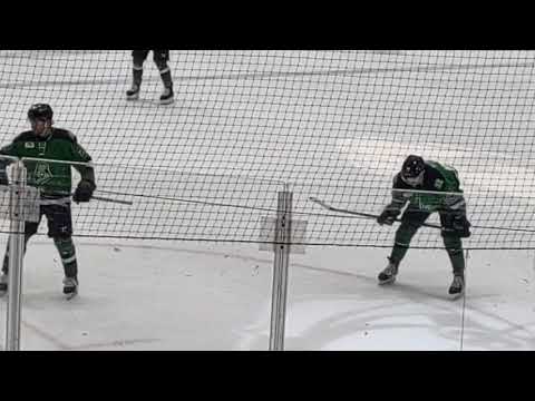 End of period 2 Newfoundland Growlers vs Maine Mariners