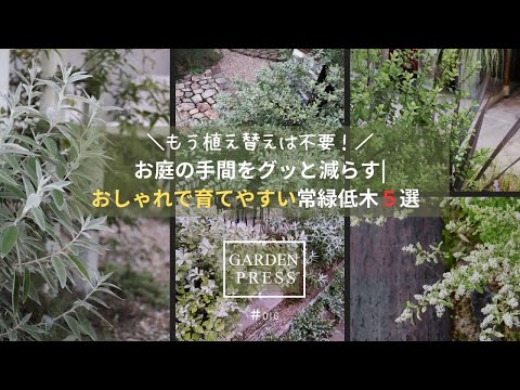 庭でのマグノリアの手入れのヒントと推奨事項