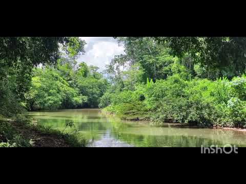 Balneario la viuda, Puerto Inca Huánuco Perú 