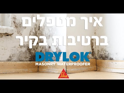 איך מטפלים ברטיבות בקיר?