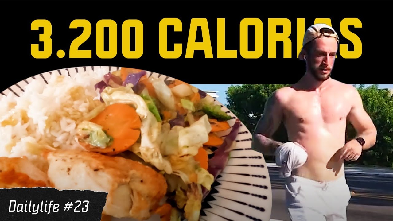 MINHA DIETA PARA GANHAR MASSA MAGRA (TODAS AS REFEIÇÕES) - Dailylife #23