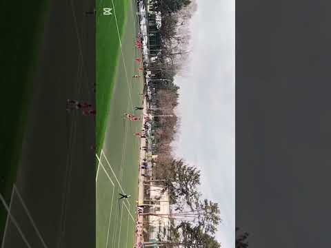 Miniatura filmu