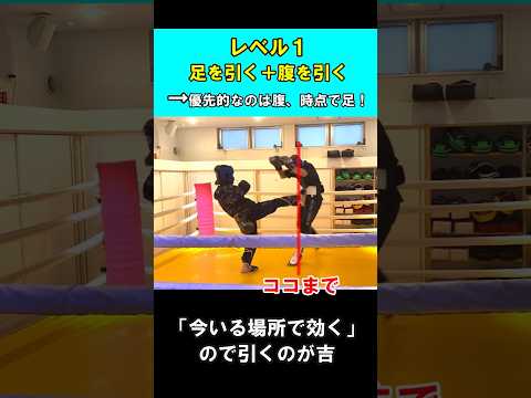 【回避カウンター】前蹴りに１００％反撃する方法 #shorts