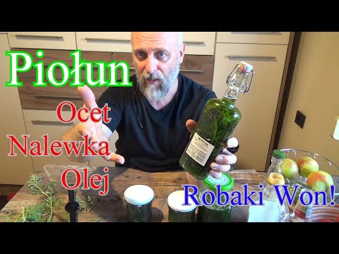 Olej, ocet, nalewka z piołunu. I trawisz lepiej.