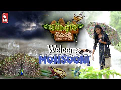 Jungle Book