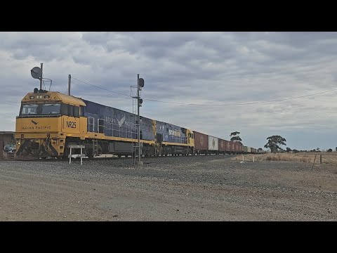 4PM6 PN up "Linfox Express" (NR25, NR111), Perth to Melbourne, 1430, 19/4/25, Dooen VIC