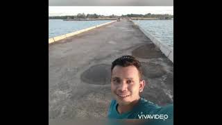 Download lagu Sia payah mp3 Download lagu Sia payah mp3