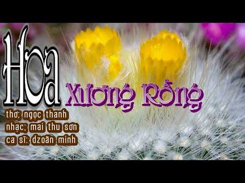 Hoa xương rồng Sheet - Dzoãn Minh