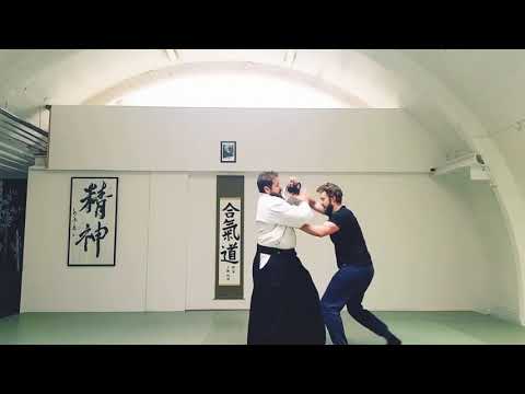 ROKAS THIS IS HOW YOU PRESSURE TEST AIKIDO!  by Remy Sub Martial Arts 1on1