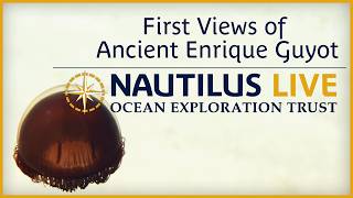 First Views of Ancient Enrique Guyot | Nautilus Live