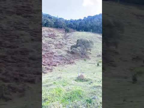 Sitio a venda em Bom Jardim de Minas, maiores informações entrar em contato.