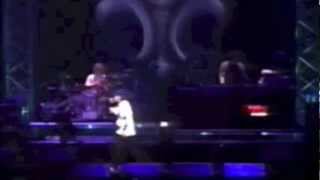 Grateful Days Dragon Ash Live feat.Tiger