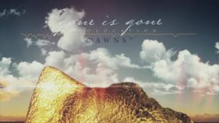 Gone Is Gone - Pawns