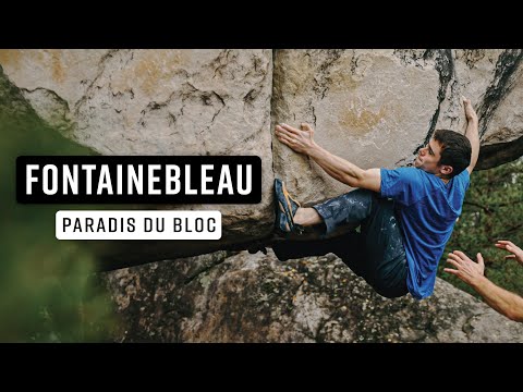 Bouldering Paradise • Climbing in Fontainebleau