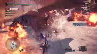 MHW：IB   ライズが全く手につかない