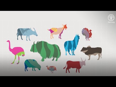 La diversité des ressources zoogénétiques