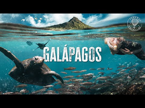 These Islands are Unlike Anything on Earth: Galapagos