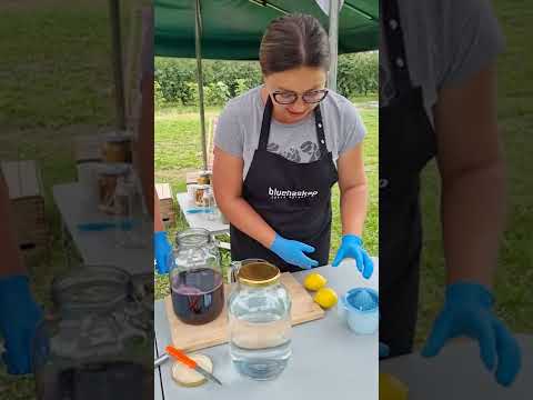 Dobry Ferment robi nalewkę z aronii, 13.08.2022