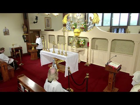 Daily Readings and Homily - 2025-07-29 - Fr. Paschal