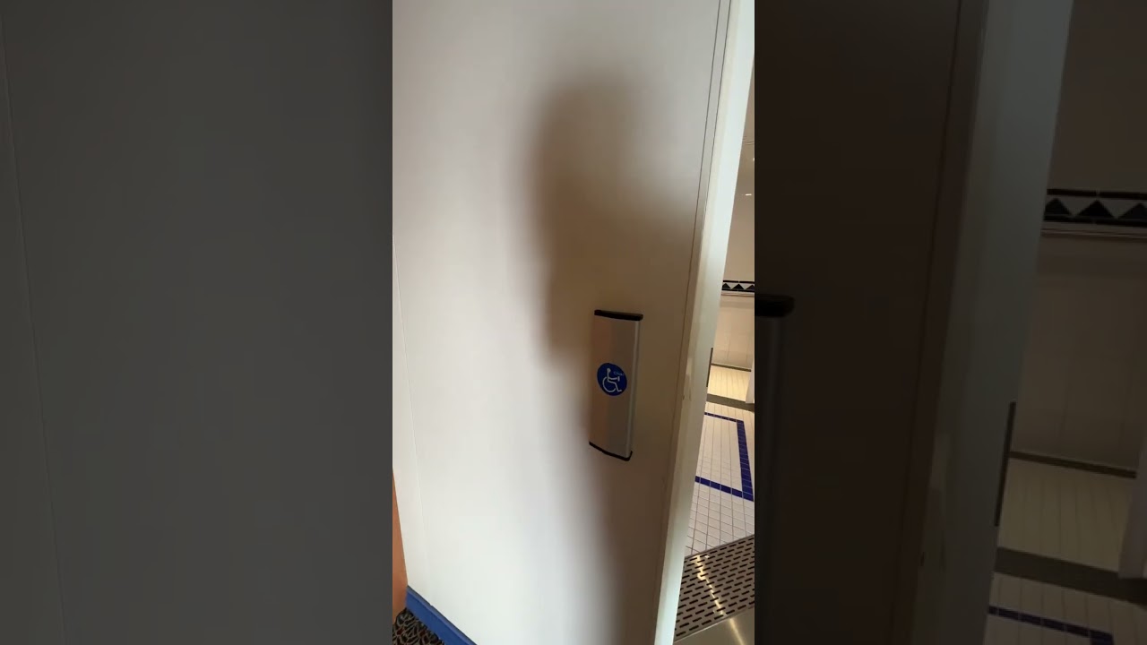Disney Wonder - Cabin 7638 - Video 1