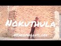 Cassper Nyovest feat. Busiswa & Legendary P - Nokuthula (official dance video) |Theophillus lee