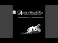 Peter And The Wolf Op 67 No 3 Introduction To The Instruments And Characters Oboe Duck