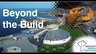 Rehousing our Lobster - Beyond the Build Vlogs