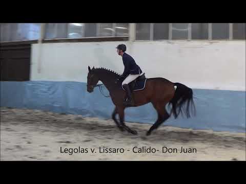 26 Legolas v  Lissaro