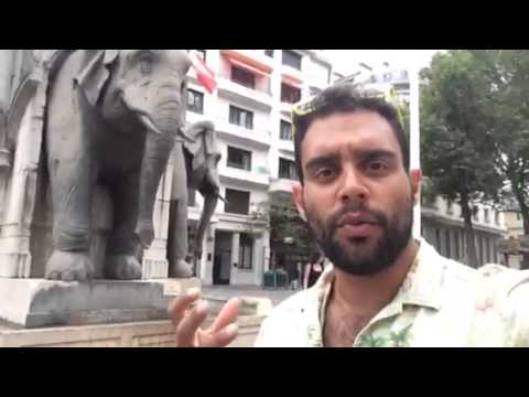 Elephants in Chambery, France