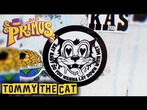 Tommy The Cat - PRIMUS (Lyrics)