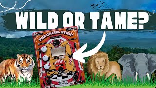 Video thumbnail for Camel Strip Channel Strip / Safari Pedals [Review & Demo] by Real Home Studio