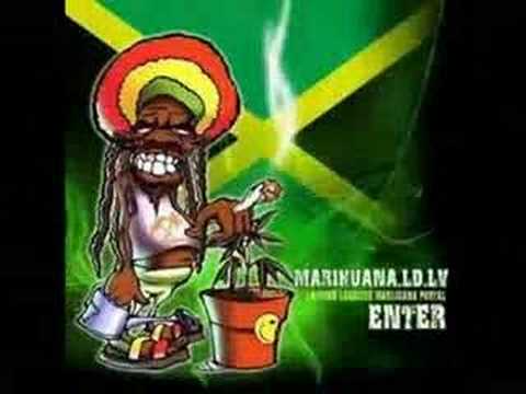 Divokej bill-na tvý louce zelený