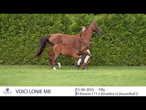 VOICI LONIE MB