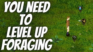 Why You Need to Level Up Foraging in Project Zomboid