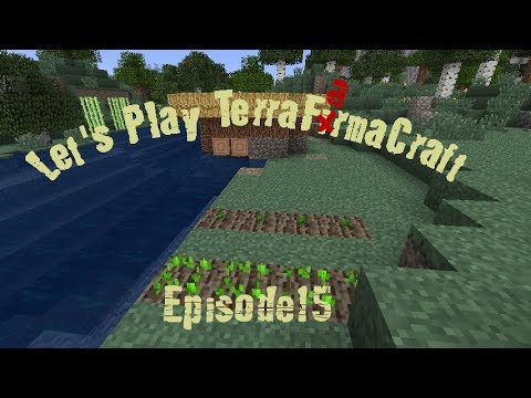 Let's Play TerraFarmaCraft: Ep. 15 - No More Birching About My Roof!