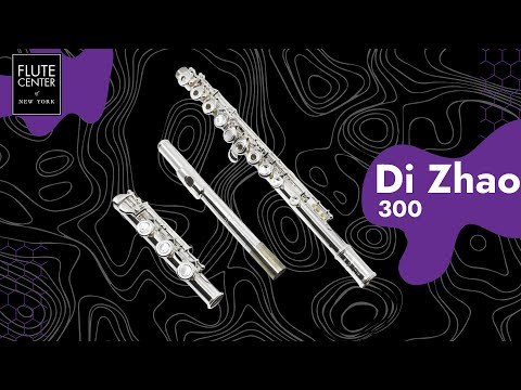 Di Zhao 300/401 Review | I LOVE the Di Zhao FLUTE!!!