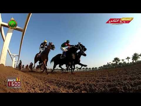الشوط السابع - السباق الثاني - الرحبة 25/10/2019 Race 7-2nd meeting