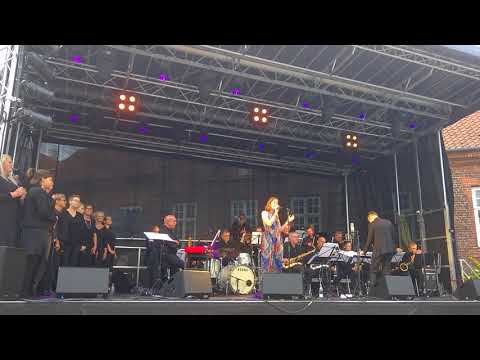 Signe Juhl og Viborg Big Band - Dansevise