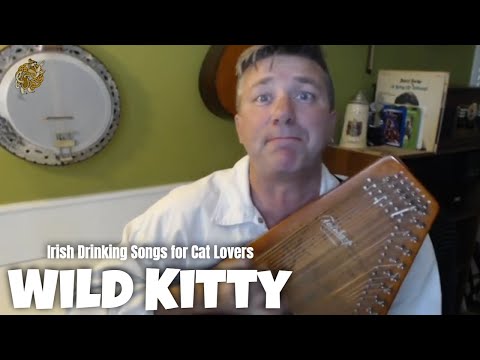 WILD KITTY (Parody of Wild Rover)