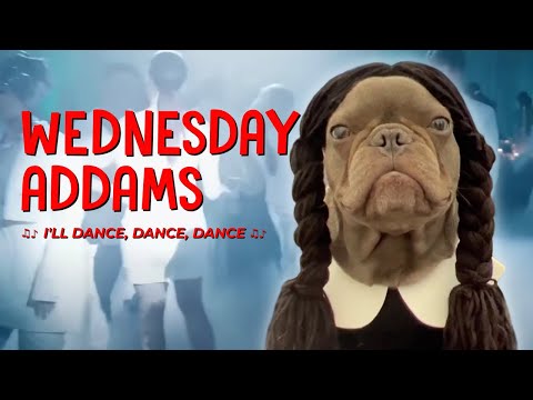 Wednesday Addams Dance - Lady Gaga Bloody Mary Sped up TikTok Remix (I'll dance dance dance)