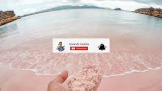 Download lagu Lirik' pasir pantai' reggae mp3