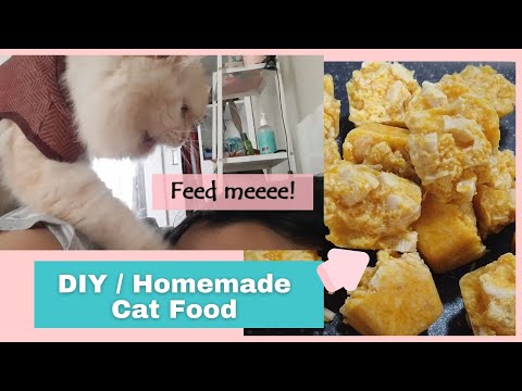 Ep. 5 | Homemade Cat Food | Shopee Pet Supplies
