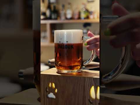 Náhled pro video reference