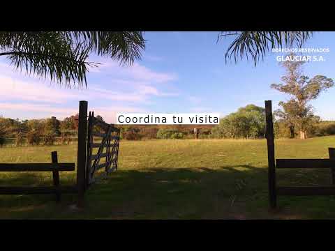 Video de YouTube - Venta Chacra inversión Melilla