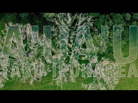 Hereiti Choreography | 2POUZ FYNIST | A'ua'u Taku Ipukarea