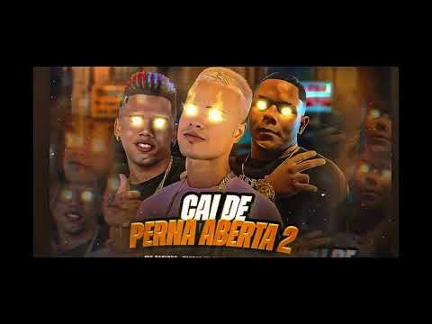 TROVÃO NO BEAT - GORDINHO BOLADO - MC DANINHO - CAI DE PERNA ABERTA 2 (vai rolar uma festinha )