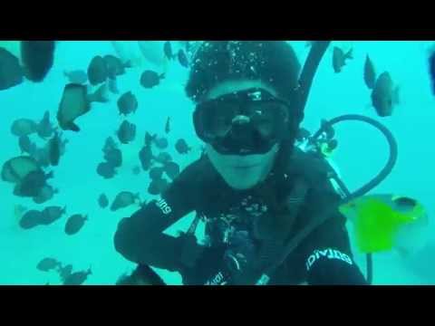 Scuba Diving in Kenting  2014.10.11