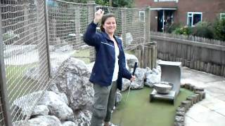 Crazy World of Minigolf Tour - Hereford - TGS Adventure Golf - Emily gets an Ace!